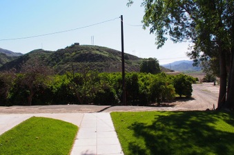 Enlarge photo 426