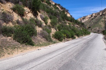 Enlarge photo 473