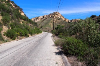 Enlarge photo 474