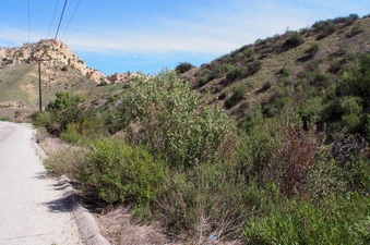 Enlarge photo 475
