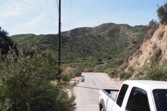 Enlarge photo 476