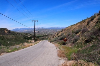 Enlarge photo 477