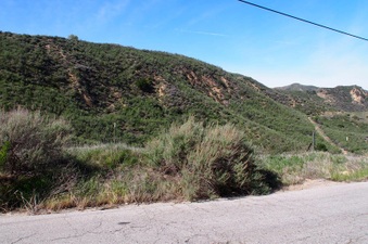 Enlarge photo 478