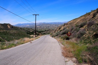 Enlarge photo 480