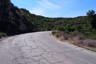 Enlarge photo 482