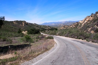 Enlarge photo 483