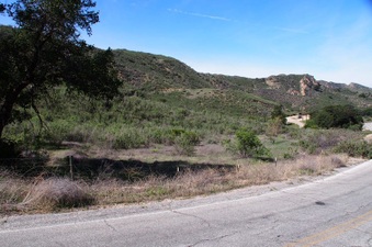 Enlarge photo 484