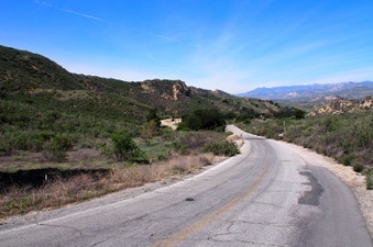 Enlarge photo 485