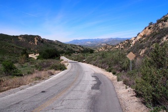 Enlarge photo 486