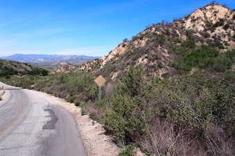 Enlarge photo 487