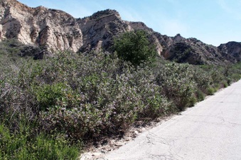 Enlarge photo 488
