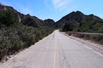 Enlarge photo 489