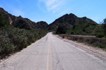 Enlarge photo 490