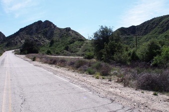 Enlarge photo 491