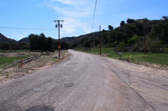 Enlarge photo 493