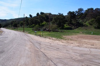 Enlarge photo 494