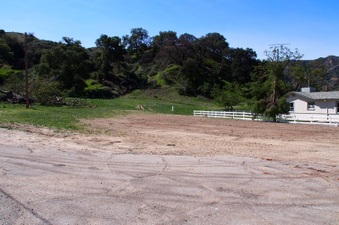Enlarge photo 495