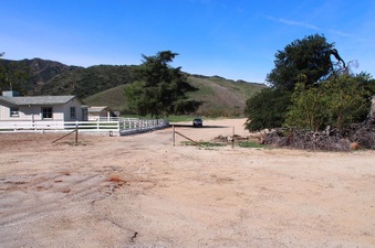Enlarge photo 497