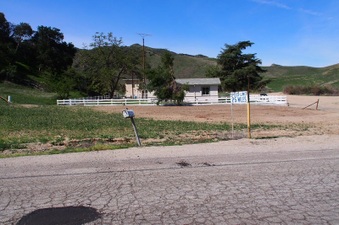 Enlarge photo 498