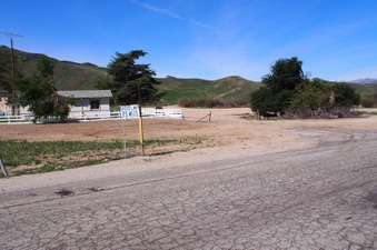 Enlarge photo 499