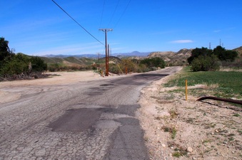 Enlarge photo 501