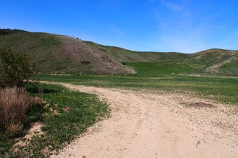 Enlarge photo 519
