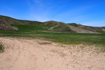 Enlarge photo 520