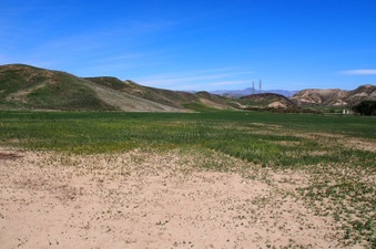 Enlarge photo 521