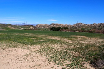 Enlarge photo 522