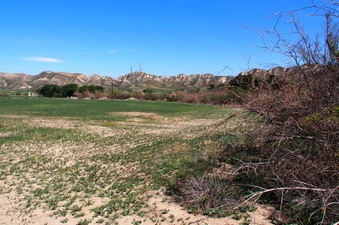 Enlarge photo 523