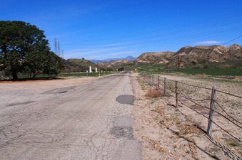 Enlarge photo 525