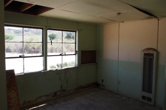 Enlarge photo 545