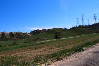 Enlarge photo 547