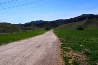 Enlarge photo 553
