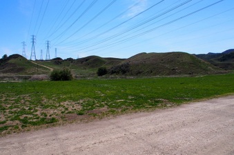 Enlarge photo 554