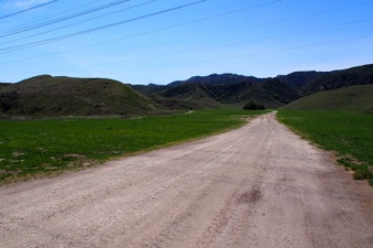 Enlarge photo 555