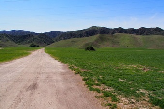 Enlarge photo 556
