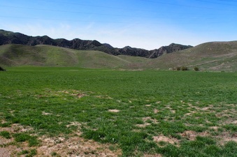 Enlarge photo 557