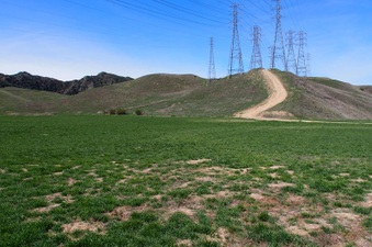Enlarge photo 558