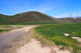Enlarge photo 559