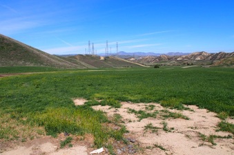 Enlarge photo 560