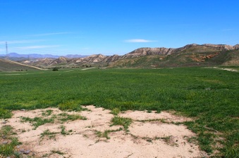 Enlarge photo 561