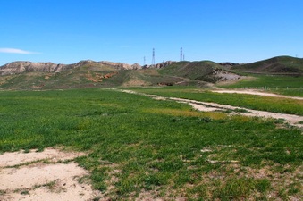 Enlarge photo 562