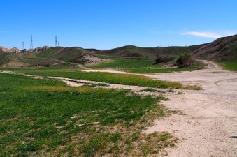 Enlarge photo 563