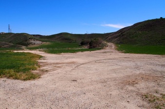 Enlarge photo 564