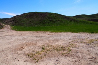 Enlarge photo 565