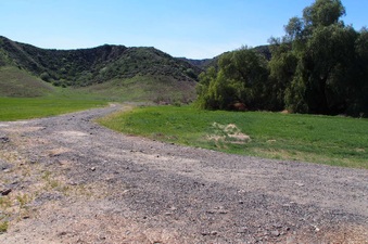 Enlarge photo 567