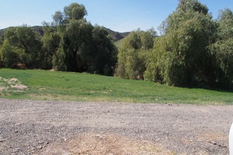 Enlarge photo 568