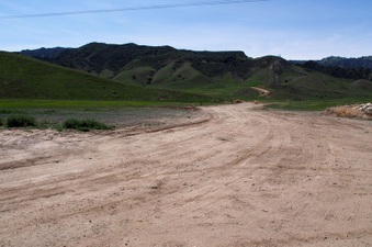 Enlarge photo 571
