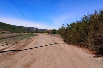 Enlarge photo 574